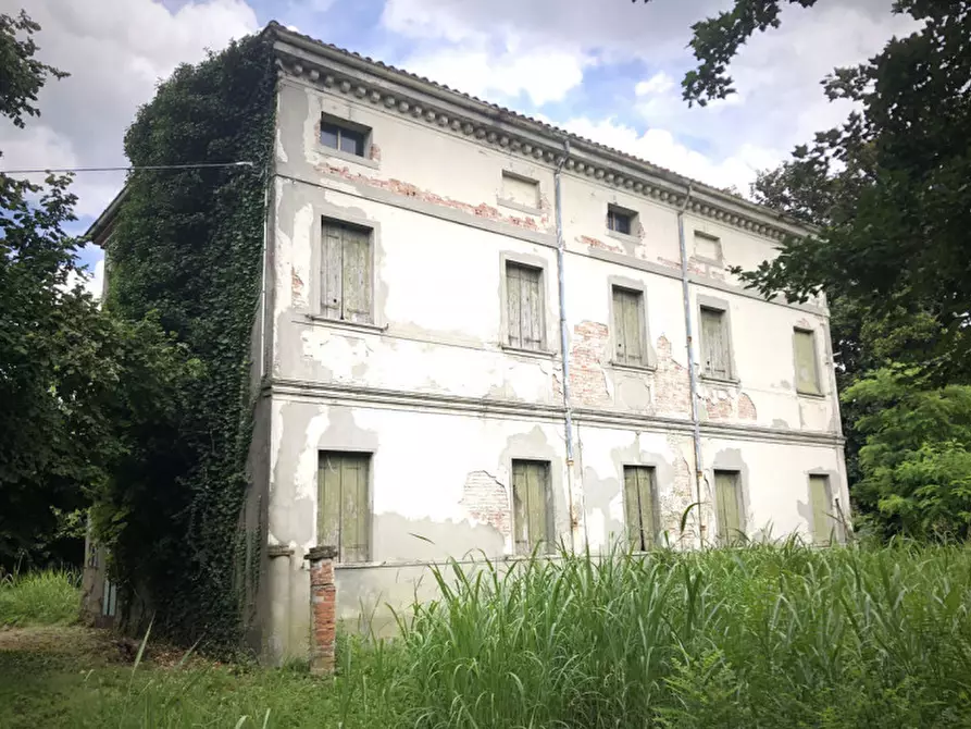 Immagine 4 di Rustico / casale in vendita  in via Giotto a Rovigo