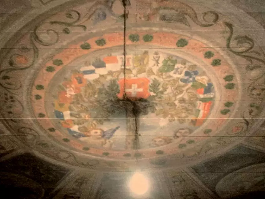 Immagine 9 di Rustico / casale in vendita  in via Giotto a Rovigo