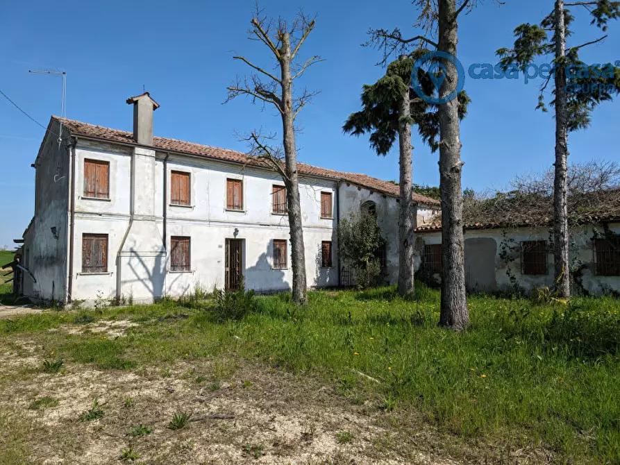 Immagine 1 di Casa indipendente in vendita  a San Martino Di Venezze