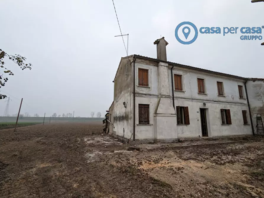 Immagine 3 di Casa indipendente in vendita  a San Martino Di Venezze