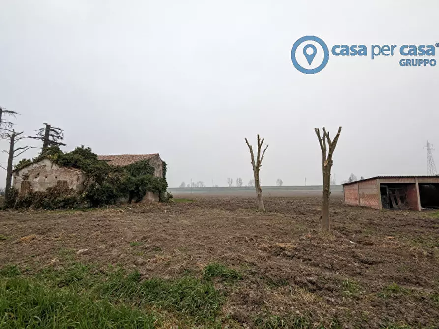 Immagine 5 di Casa indipendente in vendita  a San Martino Di Venezze