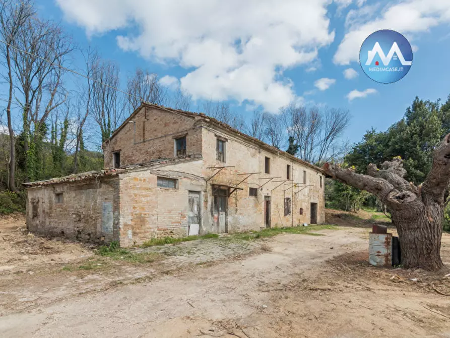 Immagine 3 di Rustico / casale in vendita  a Pesaro