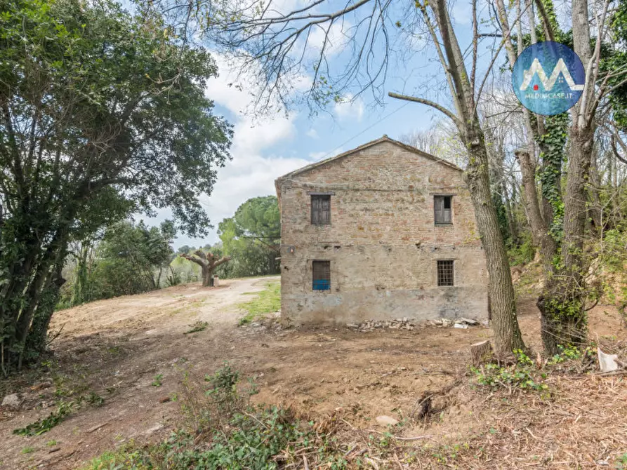 Immagine 18 di Rustico / casale in vendita  a Pesaro