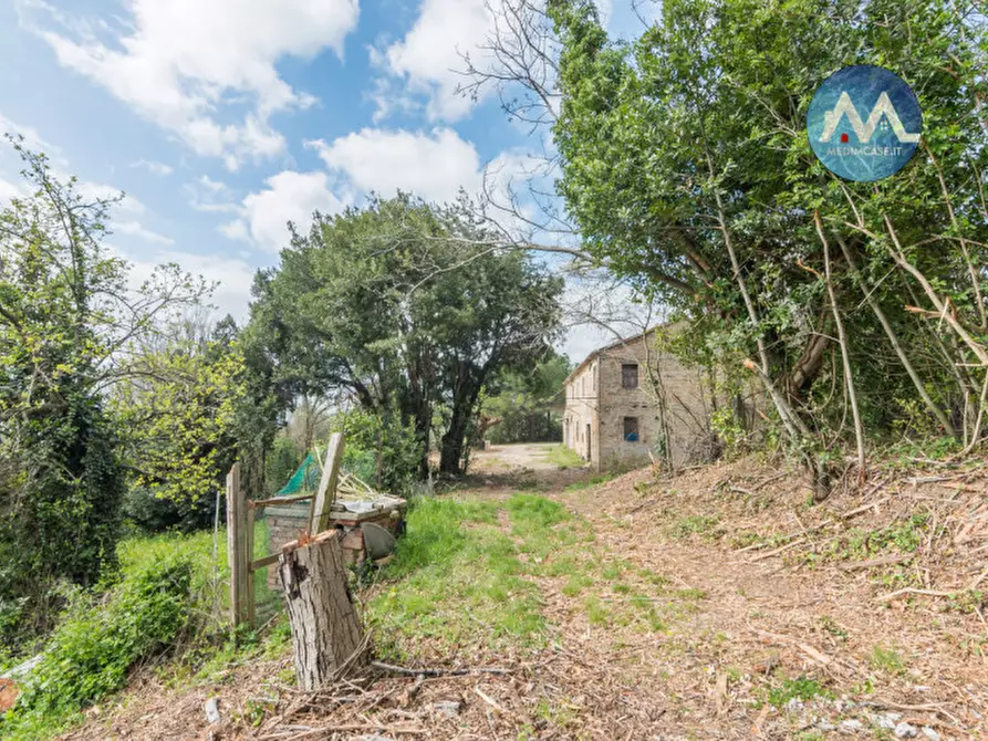 Immagine 19 di Rustico / casale in vendita  a Pesaro