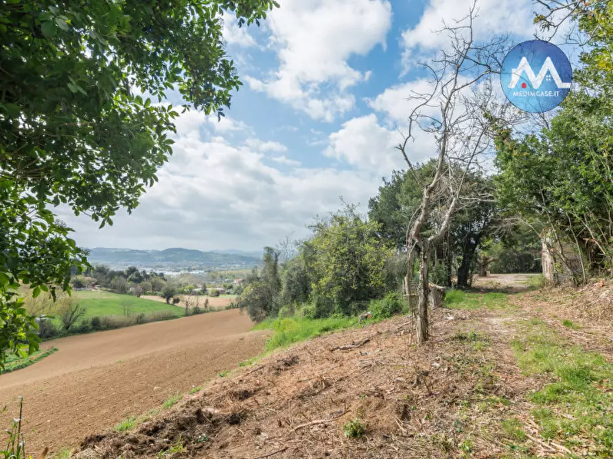 Immagine 20 di Rustico / casale in vendita  a Pesaro