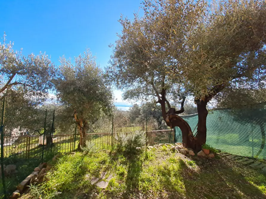 Immagine 20 di Villetta a schiera in vendita  a Passignano Sul Trasimeno