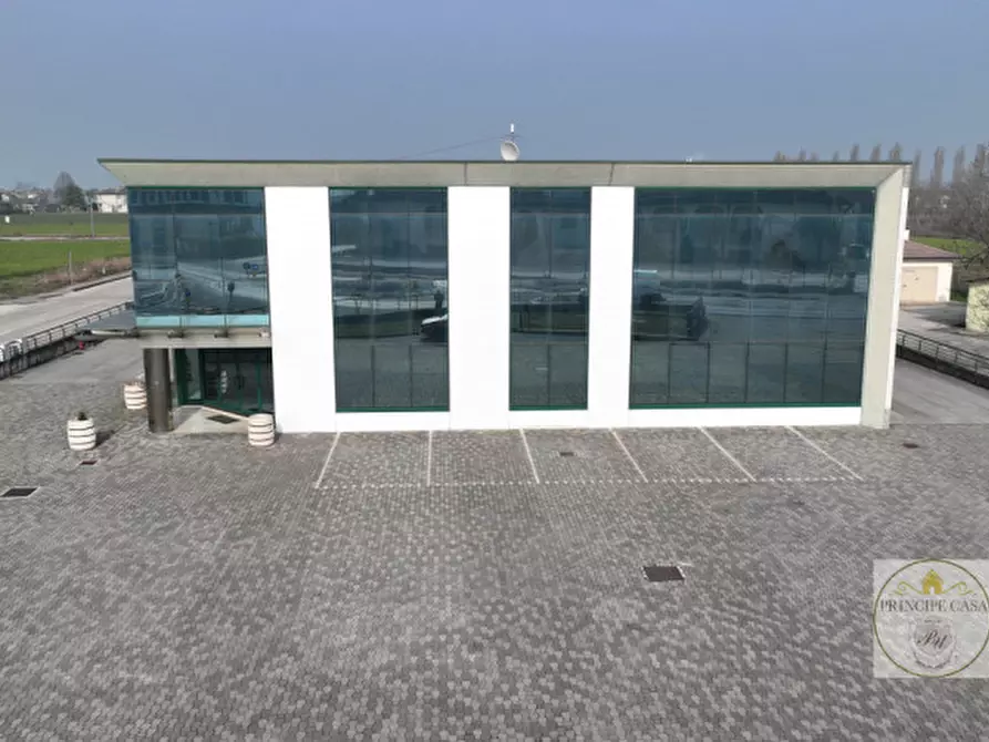 Immagine 1 di Capannone industriale in vendita  in via nuova a Casale Di Scodosia