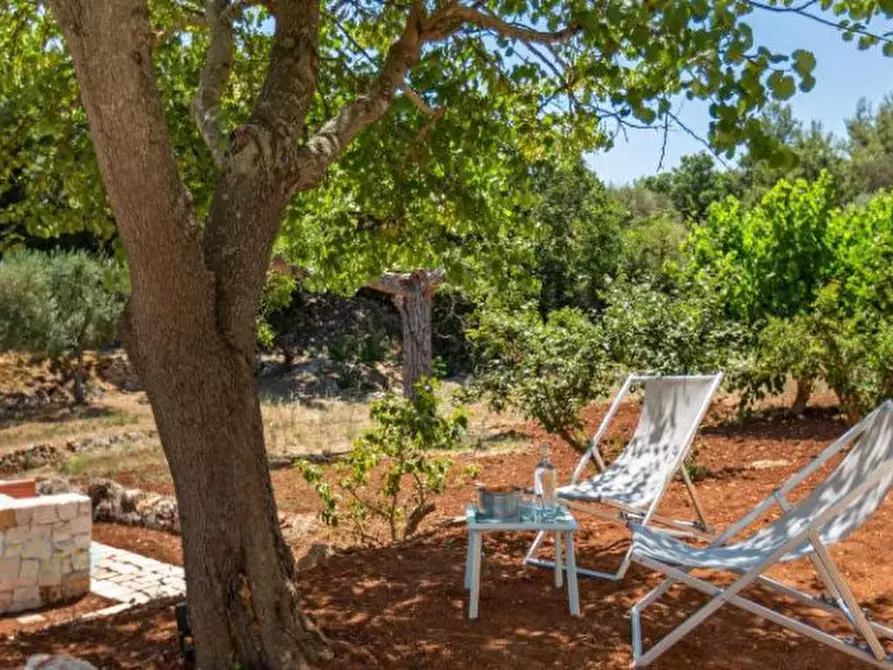 Immagine 29 di Rustico / casale in vendita  in Contrada Montevecchio a Ceglie Messapico