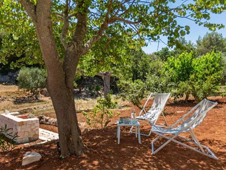 Immagine 31 di Rustico / casale in vendita  in Contrada Montevecchio a Ceglie Messapico