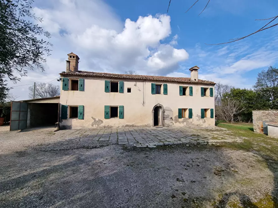 Immagine 2 di Rustico / casale in vendita  in via murale a Baone