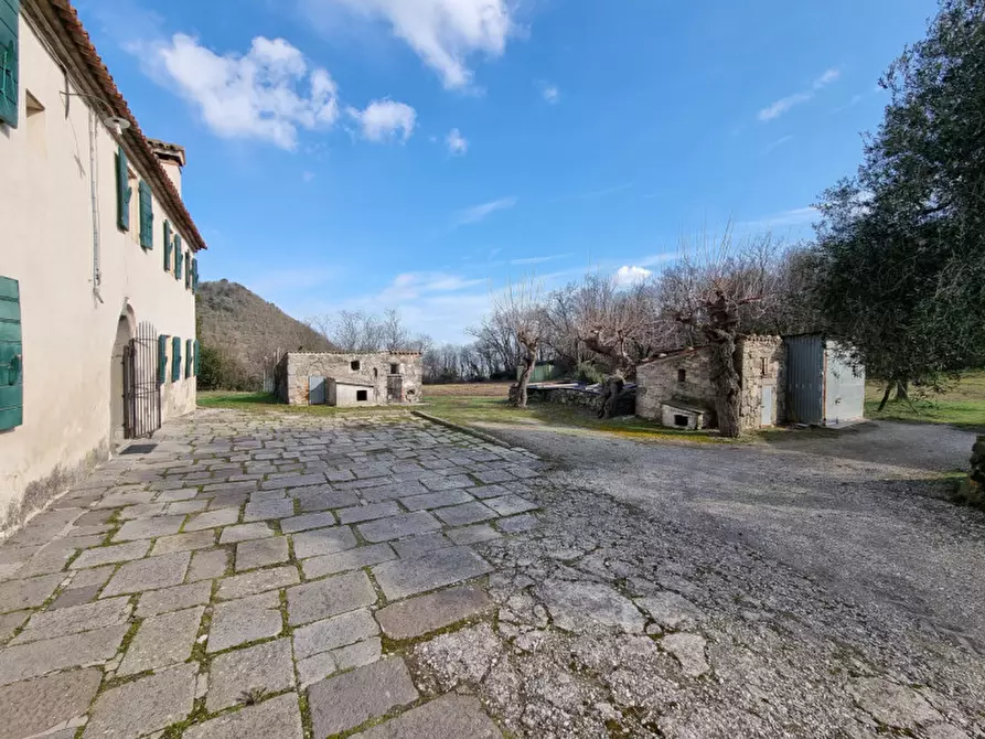 Immagine 3 di Rustico / casale in vendita  in via murale a Baone