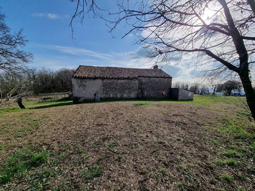 Immagine 5 di Rustico / casale in vendita  in via murale a Baone
