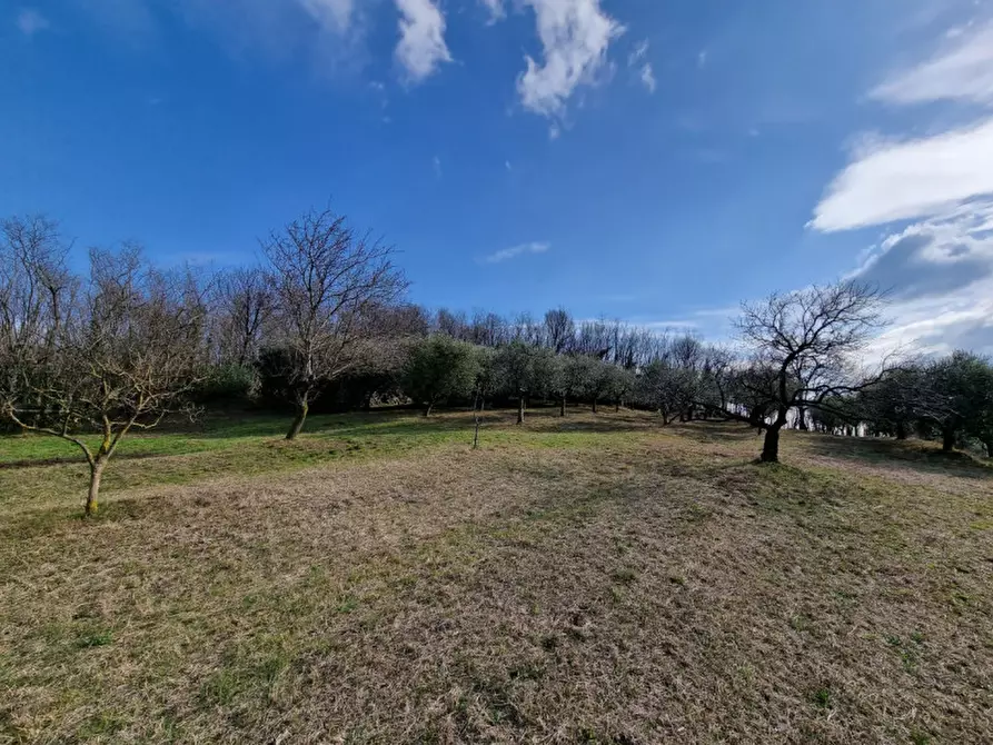 Immagine 6 di Rustico / casale in vendita  in via murale a Baone