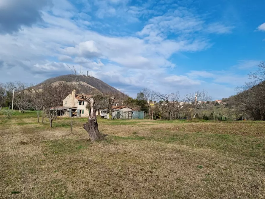 Immagine 7 di Rustico / casale in vendita  in via murale a Baone