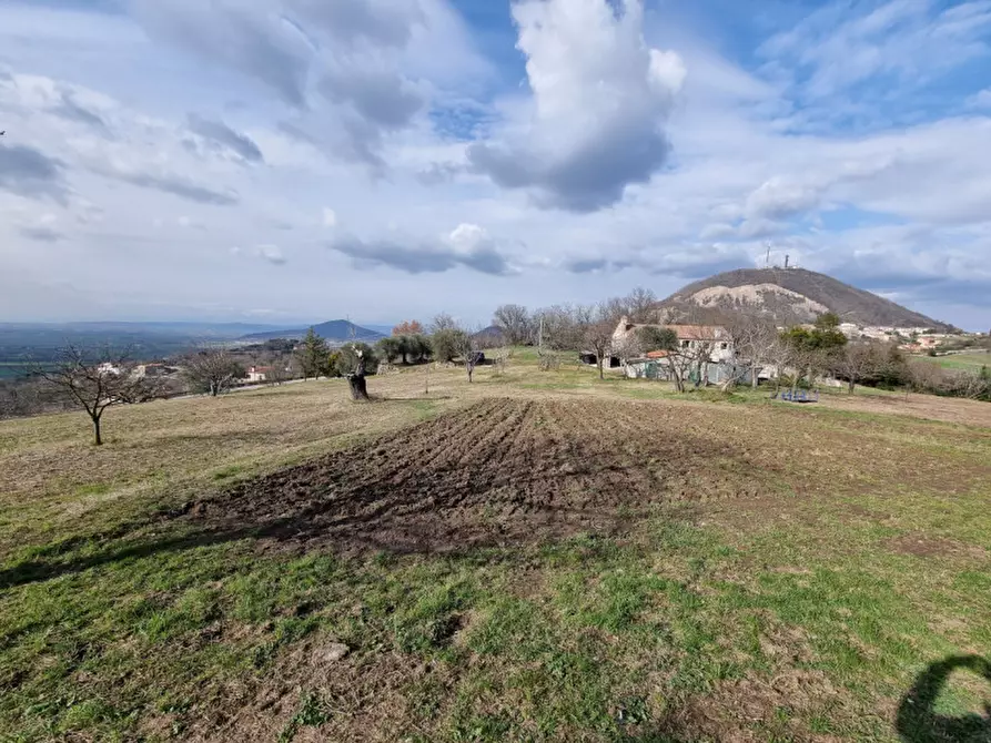 Immagine 8 di Rustico / casale in vendita  in via murale a Baone