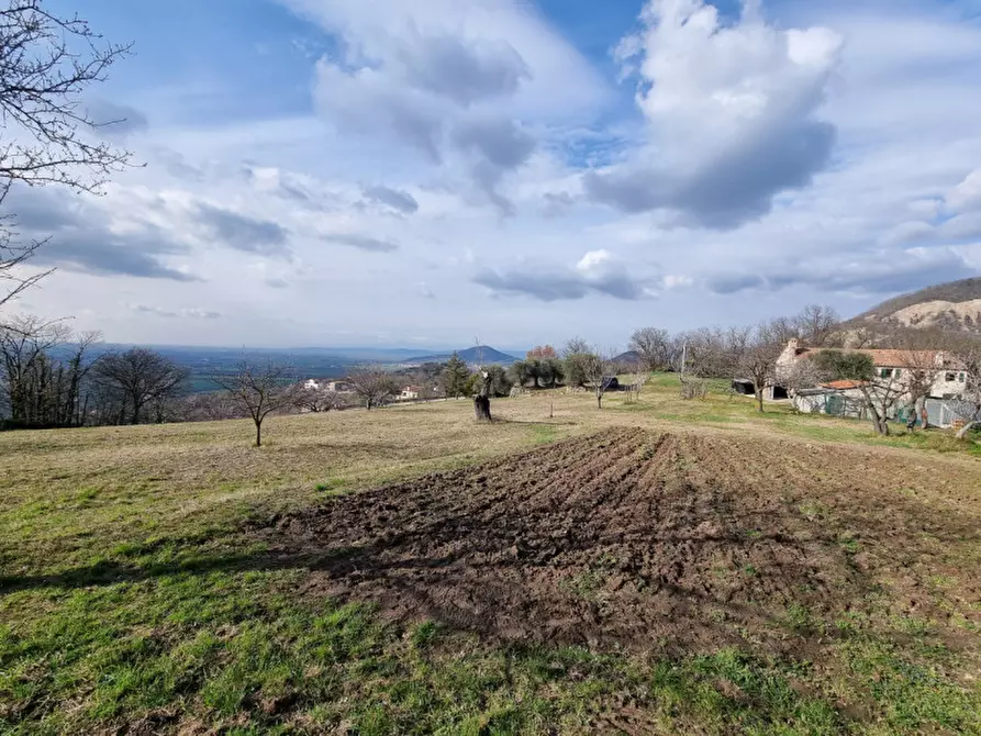 Immagine 9 di Rustico / casale in vendita  in via murale a Baone