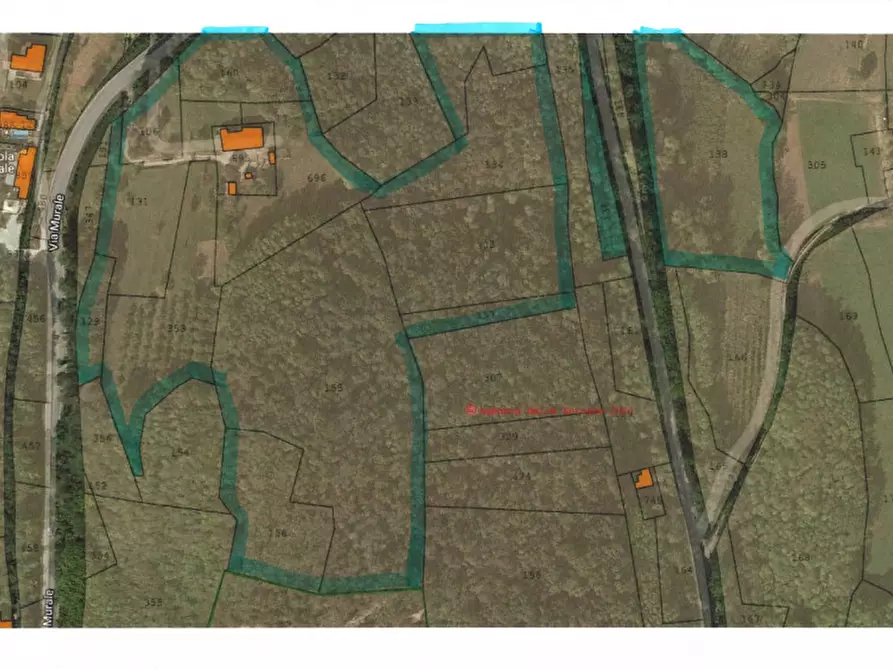 Immagine 17 di Rustico / casale in vendita  in via murale a Baone