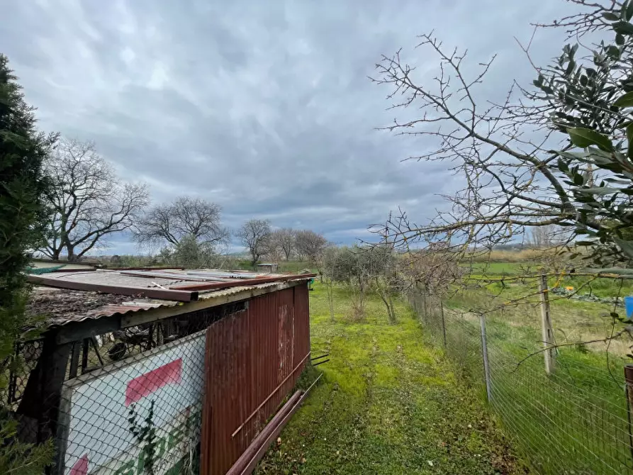 Immagine 16 di Appartamento in vendita  a Senigallia