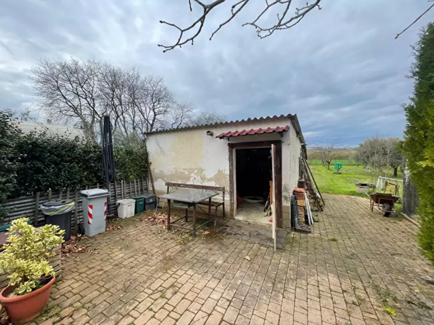 Immagine 17 di Appartamento in vendita  a Senigallia