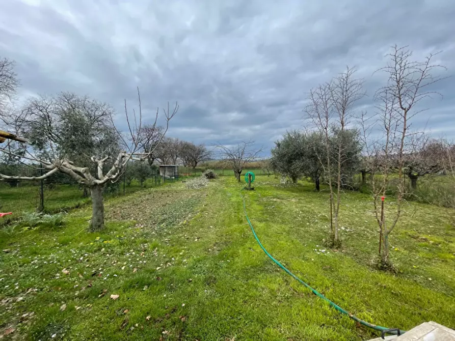 Immagine 18 di Appartamento in vendita  a Senigallia