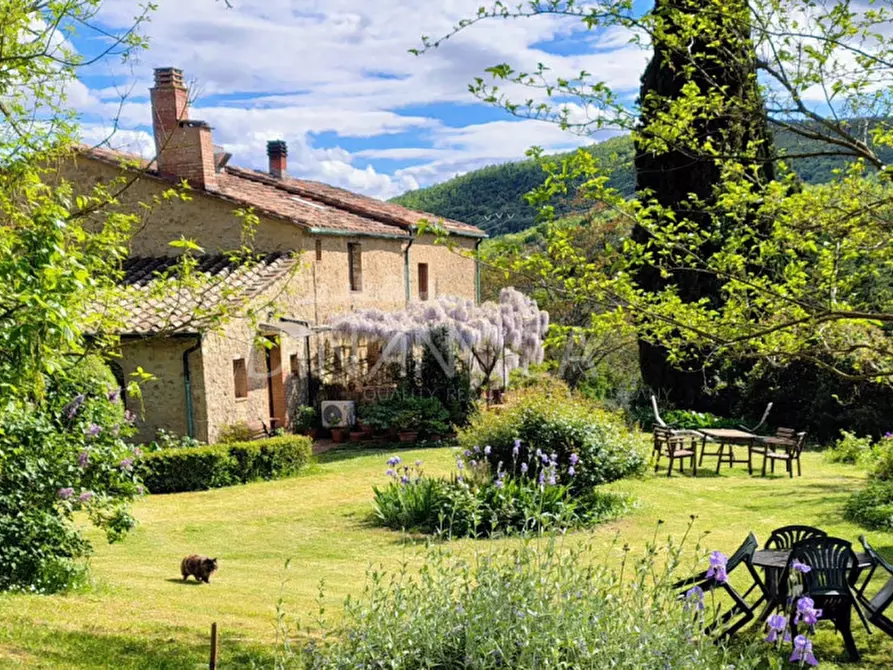 Immagine 5 di Agriturismo in vendita  a Pomarance