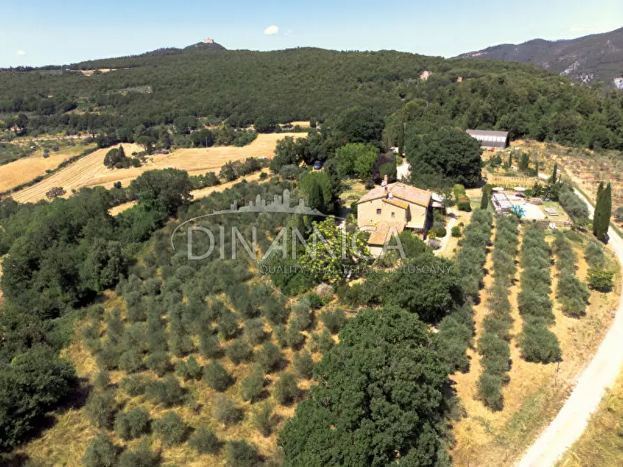 Immagine 7 di Agriturismo in vendita  a Pomarance