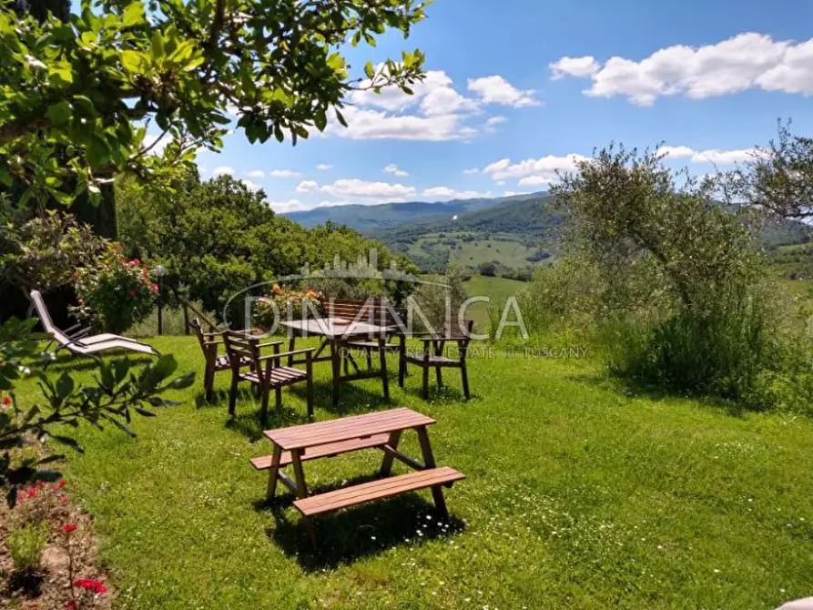 Immagine 8 di Agriturismo in vendita  a Pomarance