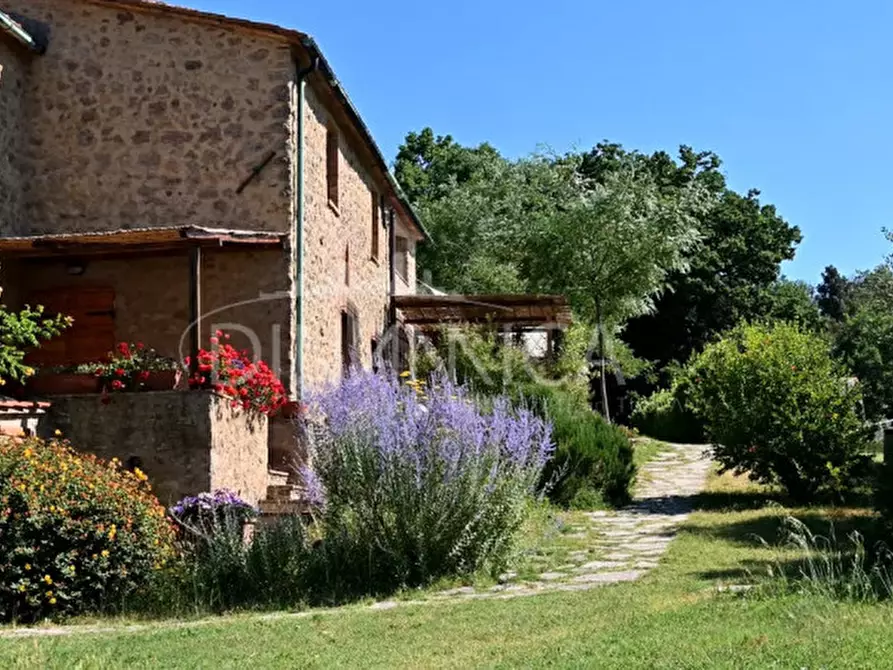 Immagine 10 di Agriturismo in vendita  a Pomarance