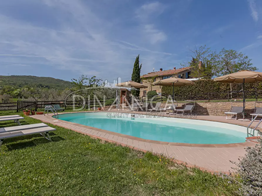 Immagine 12 di Agriturismo in vendita  a Pomarance