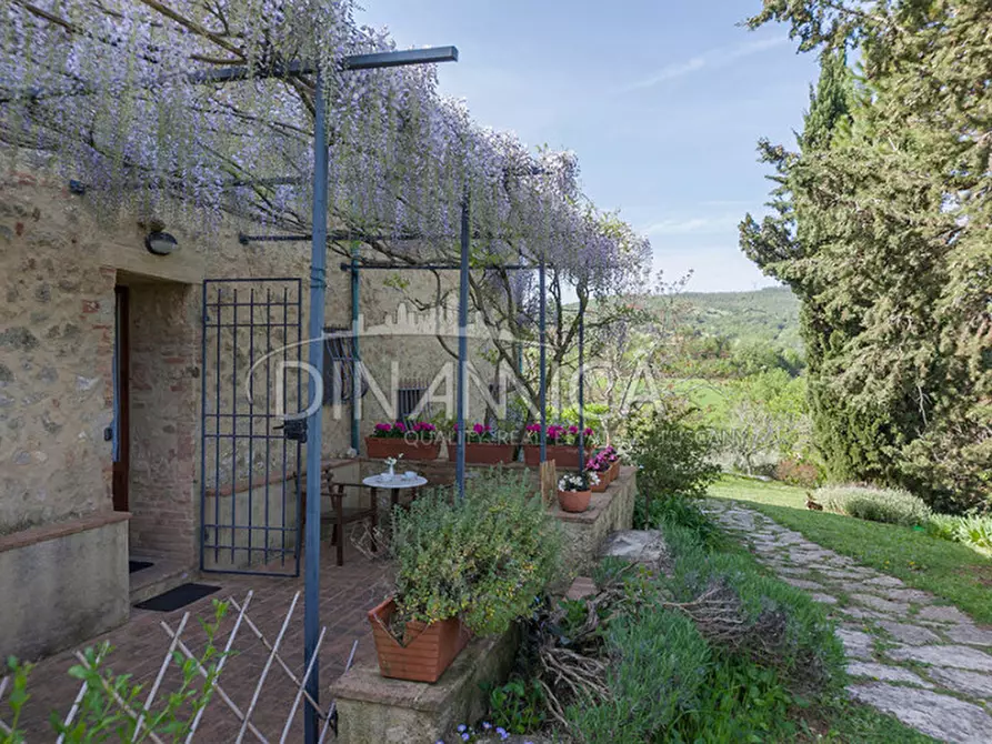 Immagine 17 di Agriturismo in vendita  a Pomarance