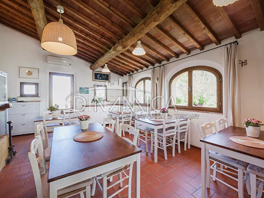 Immagine 23 di Agriturismo in vendita  a Pomarance