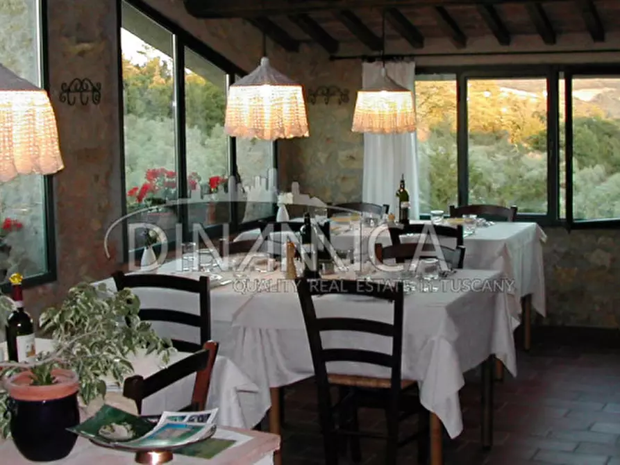 Immagine 37 di Agriturismo in vendita  a Pomarance