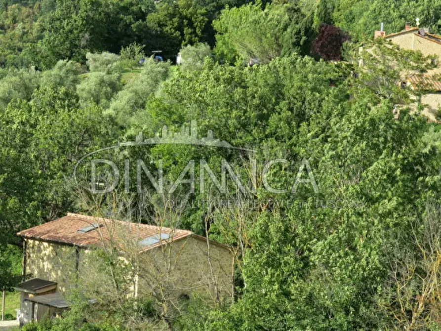 Immagine 42 di Agriturismo in vendita  a Pomarance