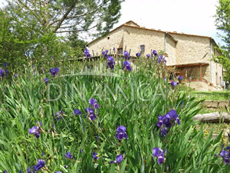 Immagine 43 di Agriturismo in vendita  a Pomarance