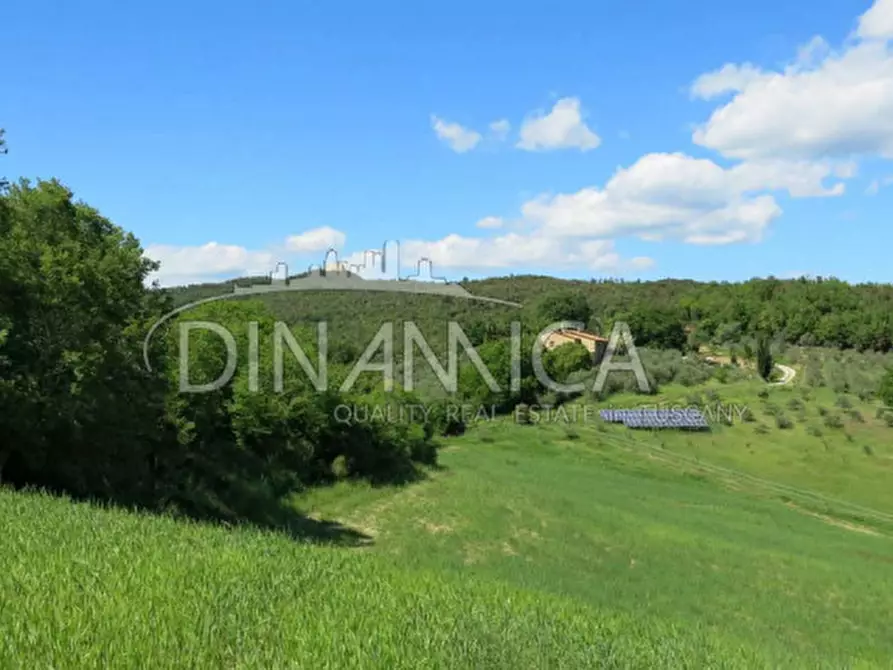 Immagine 54 di Agriturismo in vendita  a Pomarance