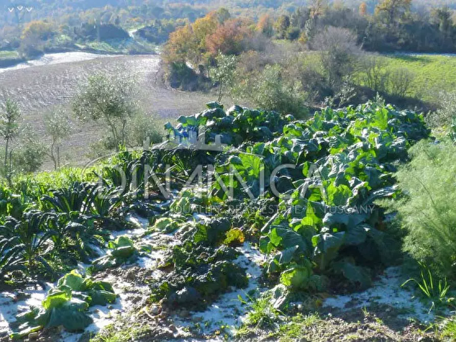 Immagine 55 di Agriturismo in vendita  a Pomarance