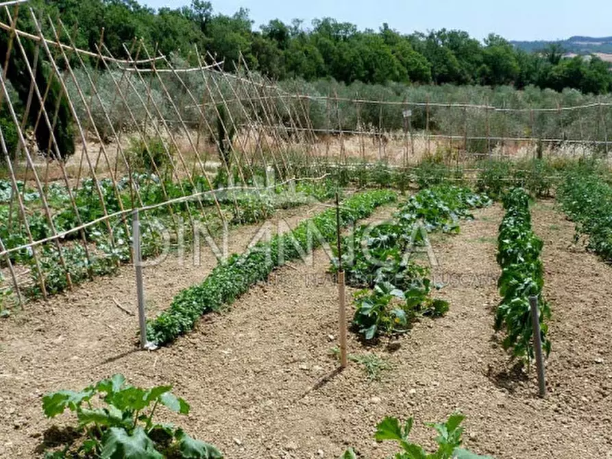 Immagine 56 di Agriturismo in vendita  a Pomarance