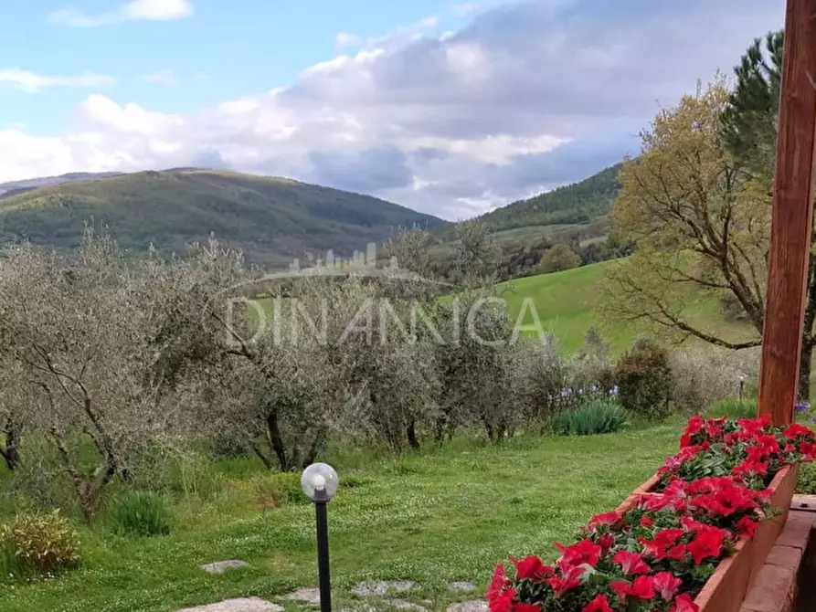 Immagine 60 di Agriturismo in vendita  a Pomarance