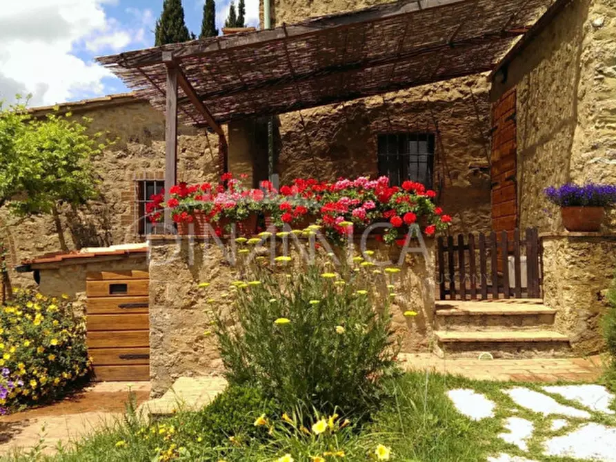 Immagine 61 di Agriturismo in vendita  a Pomarance