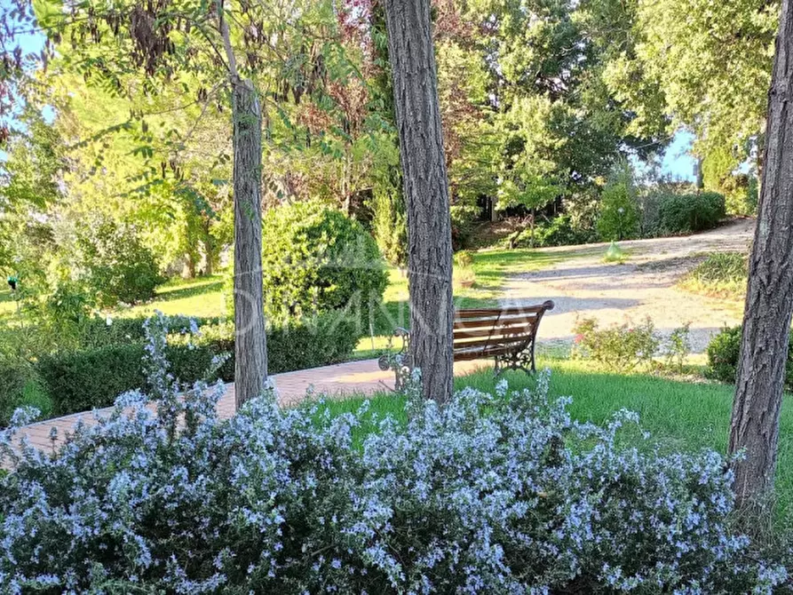 Immagine 62 di Agriturismo in vendita  a Pomarance