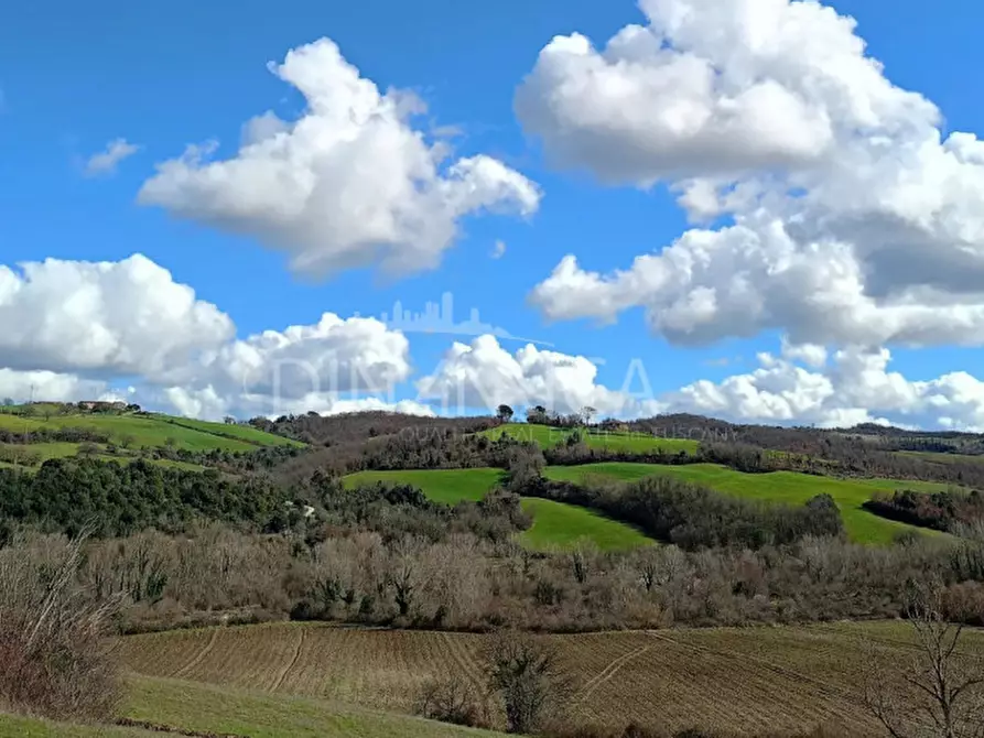 Immagine 64 di Agriturismo in vendita  a Pomarance
