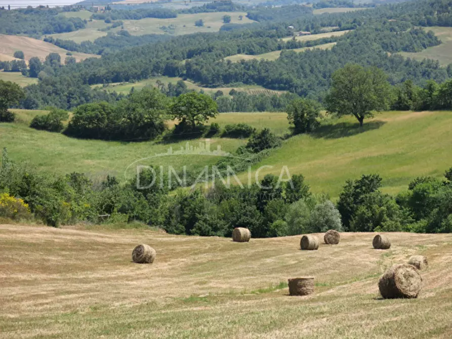 Immagine 67 di Agriturismo in vendita  a Pomarance
