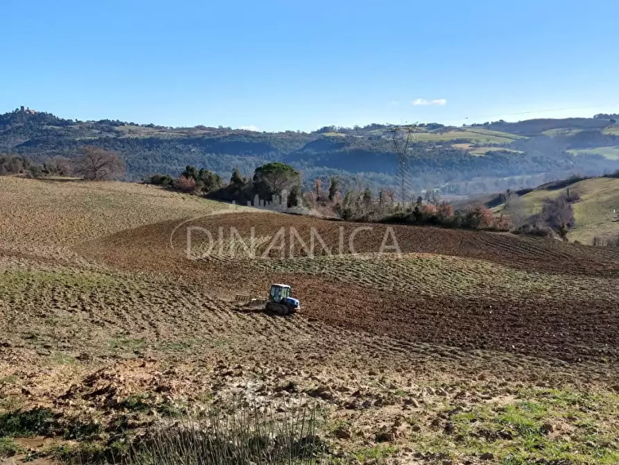 Immagine 71 di Agriturismo in vendita  a Pomarance