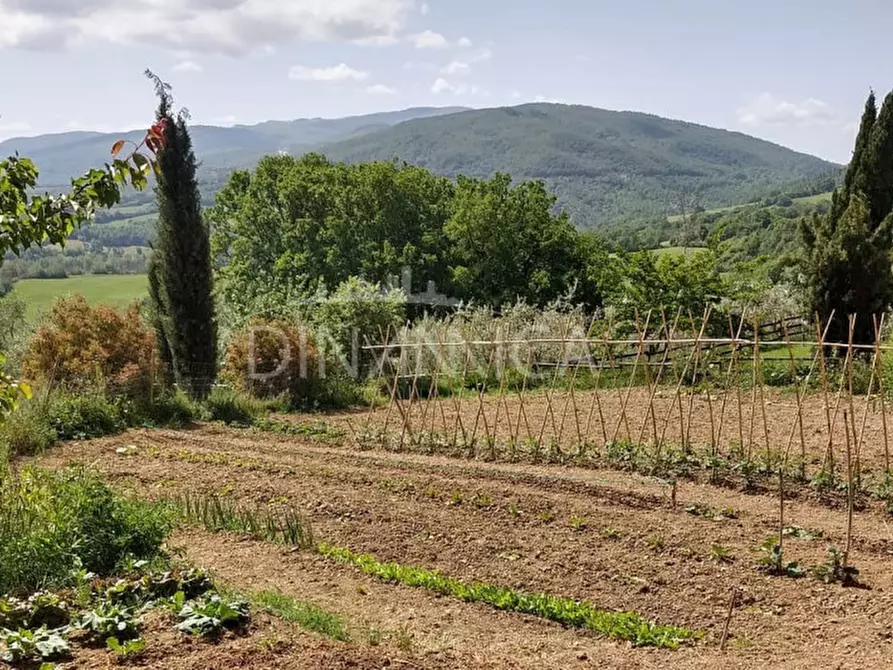 Immagine 73 di Agriturismo in vendita  a Pomarance