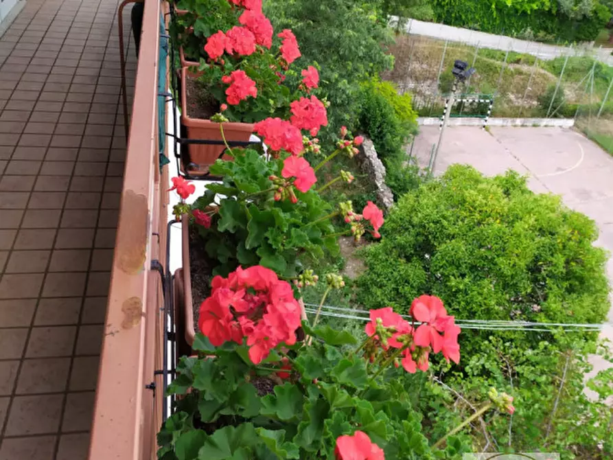 Immagine 32 di Appartamento in vendita  in via Europa a Este