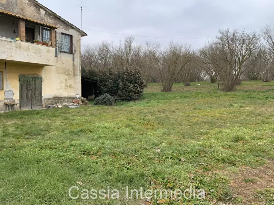 Immagine 2 di Casa bifamiliare in vendita  in Via Piancastagno a Sutri