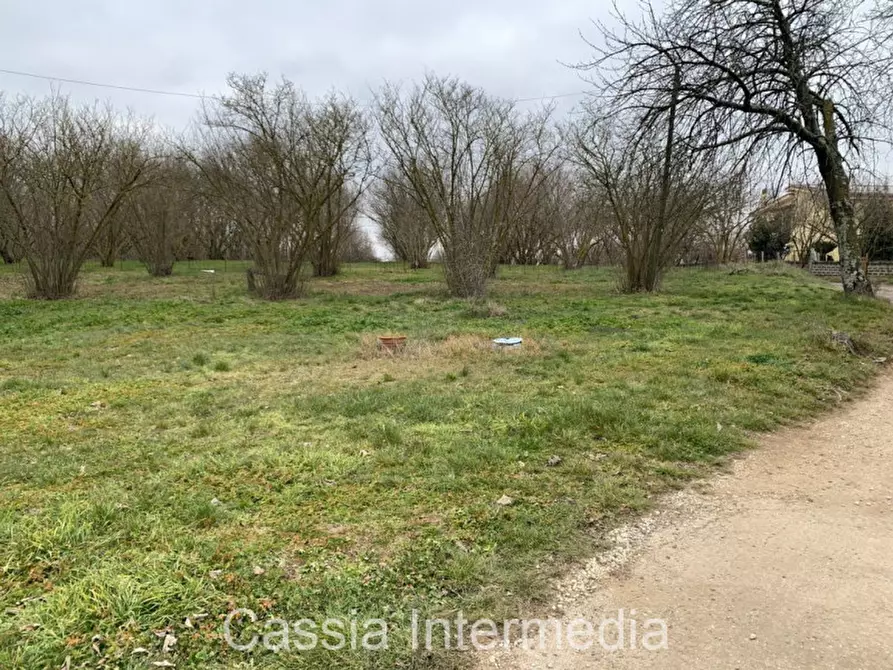 Immagine 3 di Casa bifamiliare in vendita  in Via Piancastagno a Sutri