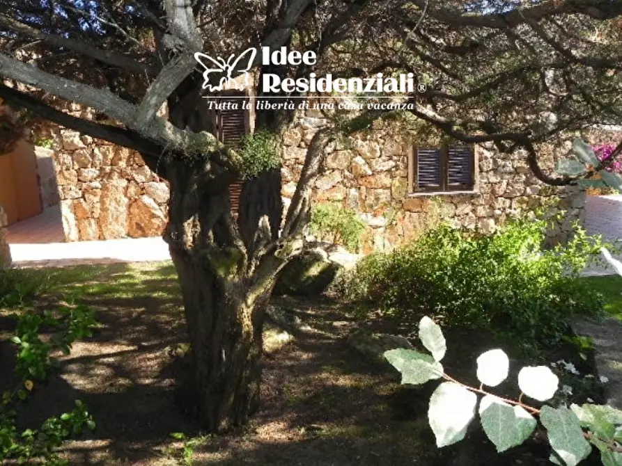 Immagine 2 di Villa in affitto  in porto mannu a Palau