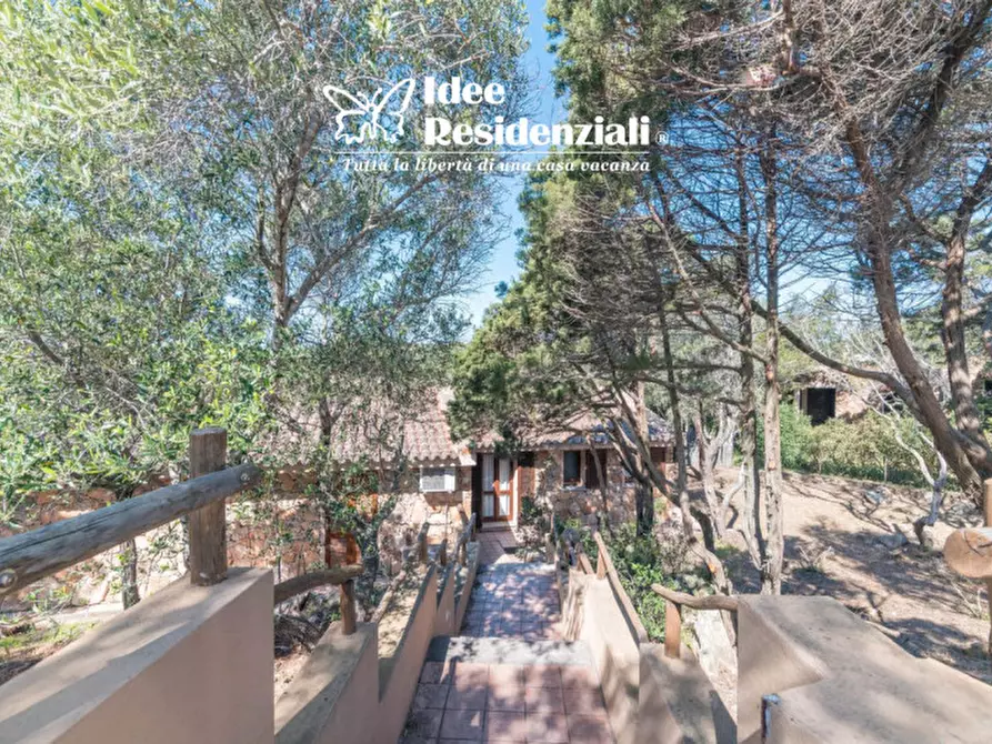 Immagine 3 di Villa in affitto  in porto mannu a Palau