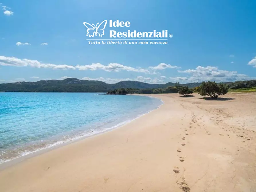 Immagine 25 di Villa in affitto  in porto mannu a Palau